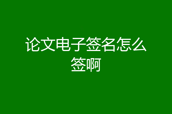论文电子签名怎么签啊