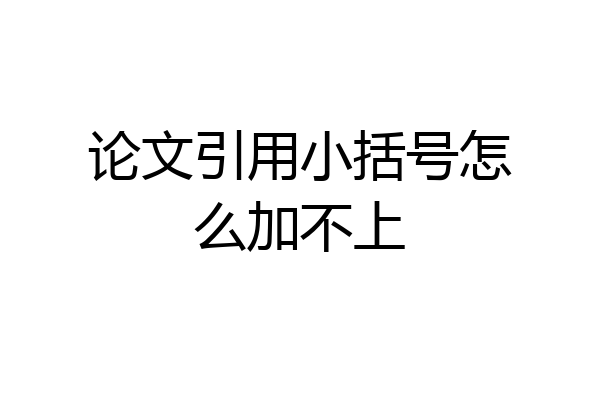 论文引用小括号怎么加不上