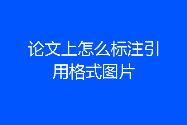 论文上怎么标注引用格式图片