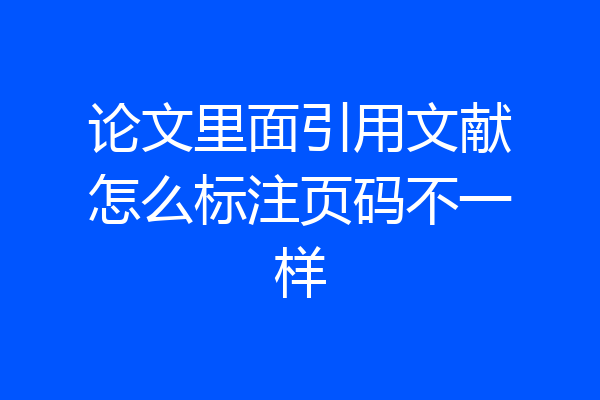 论文里面引用文献怎么标注页码不一样