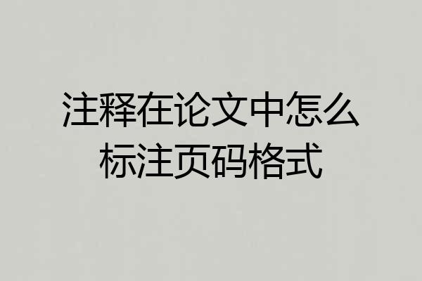 注释在论文中怎么标注页码格式