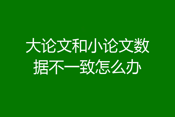 大论文和小论文数据不一致怎么办