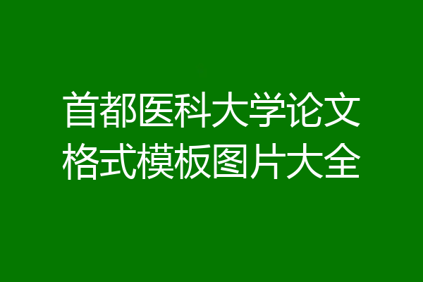 首都医科大学论文格式模板图片大全