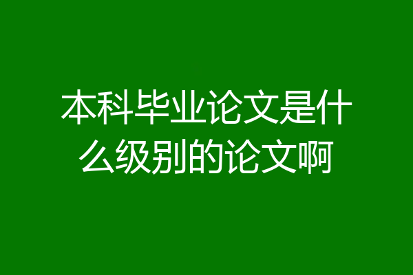 本科毕业论文是什么级别的论文啊