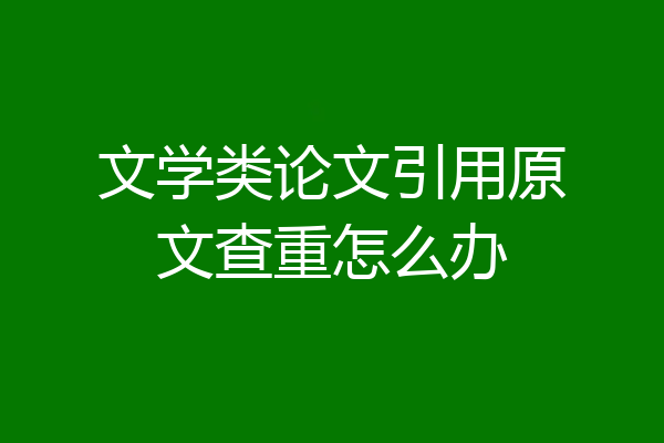 文学类论文引用原文查重怎么办