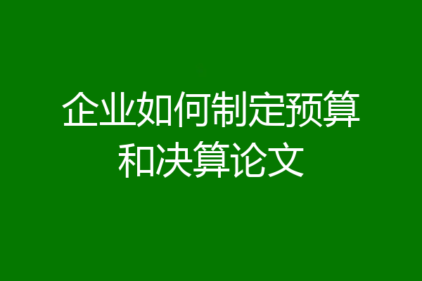 企业如何制定预算和决算论文