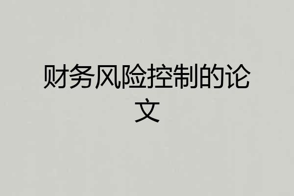 财务风险控制的论文