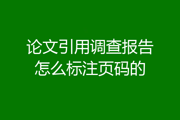 论文引用调查报告怎么标注页码的