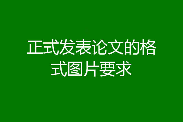 正式发表论文的格式图片要求