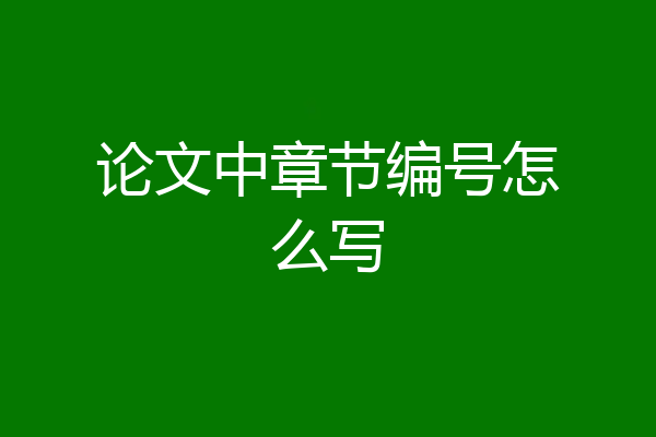 论文中章节编号怎么写