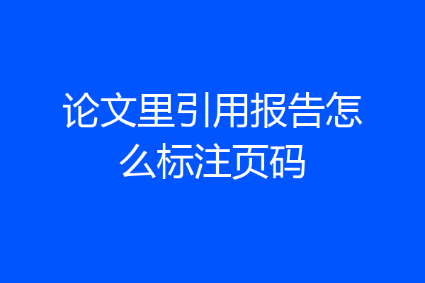 论文里引用报告怎么标注页码