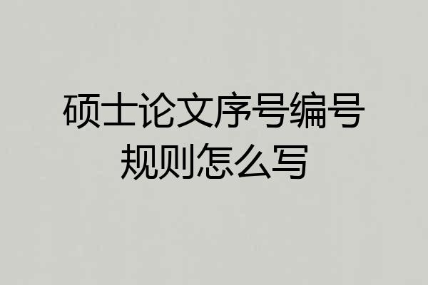 硕士论文序号编号规则怎么写