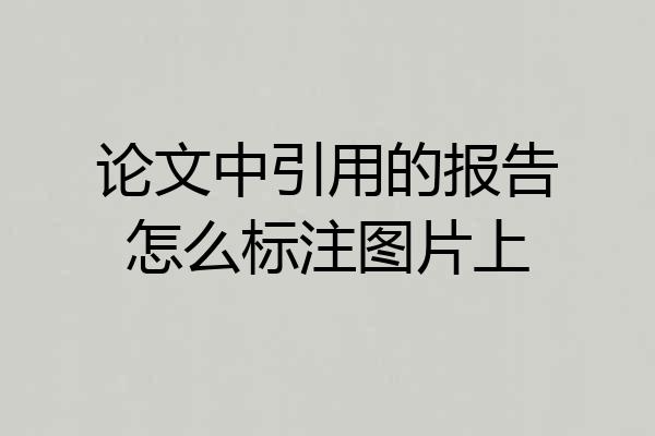 论文中引用的报告怎么标注图片上