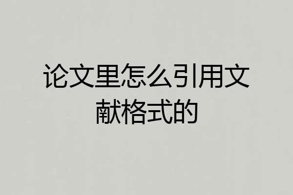 论文里怎么引用文献格式的