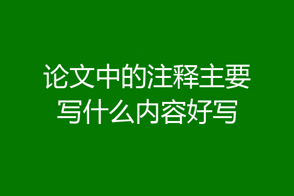 论文中的注释主要写什么内容好写
