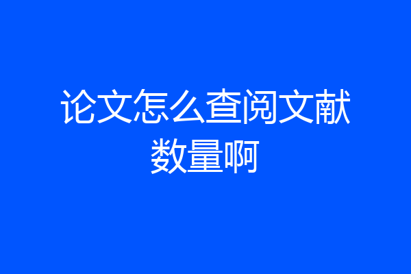 论文怎么查阅文献数量啊