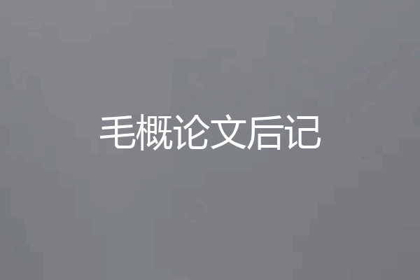 毛概论文后记