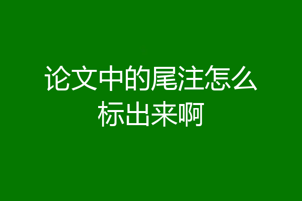 论文中的尾注怎么标出来啊