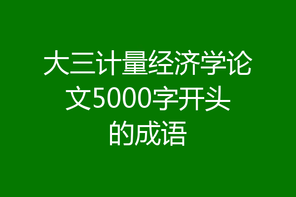 大三计量经济学论文5000字开头的成语