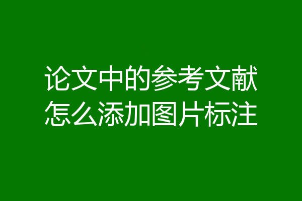 论文中的参考文献怎么添加图片标注