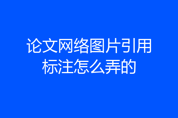 论文网络图片引用标注怎么弄的