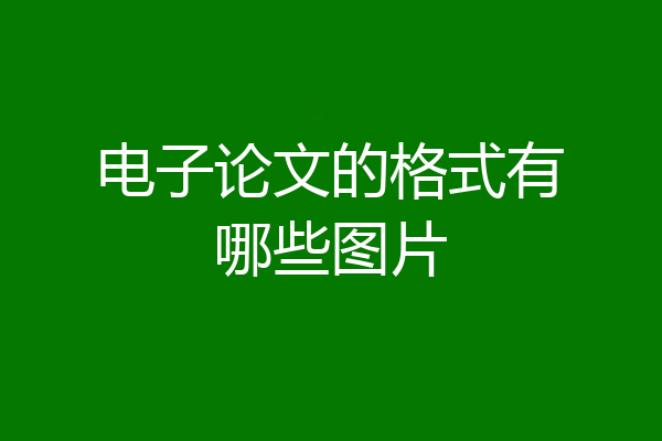 电子论文的格式有哪些图片