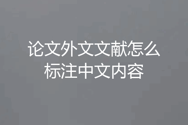 论文外文文献怎么标注中文内容