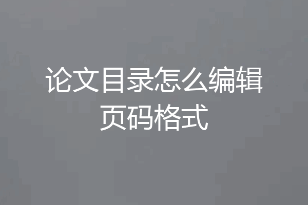 论文目录怎么编辑页码格式