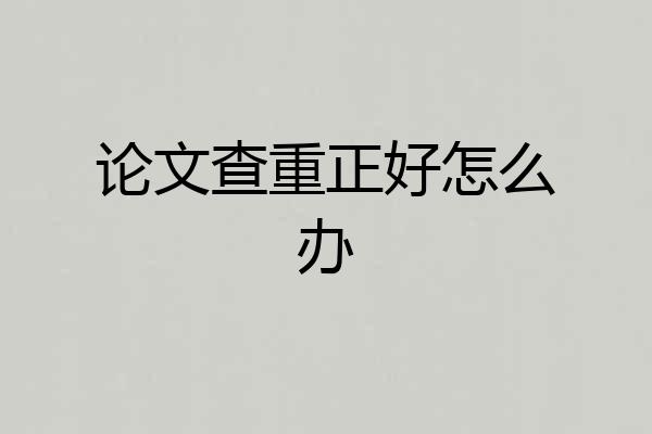 论文查重正好怎么办