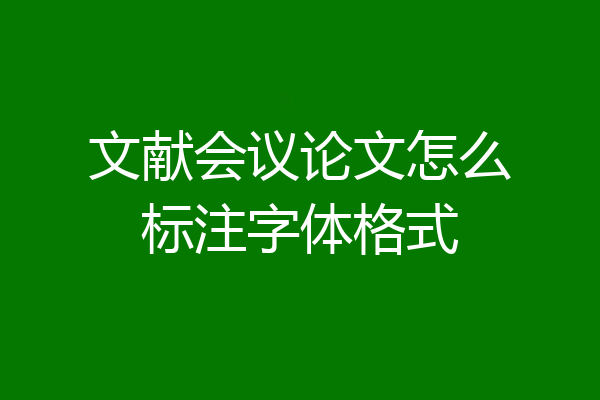文献会议论文怎么标注字体格式