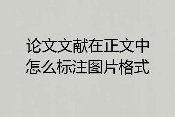论文文献在正文中怎么标注图片格式