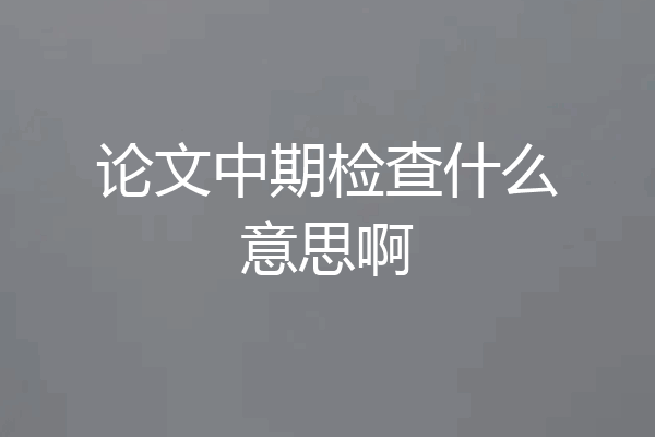 论文中期检查什么意思啊