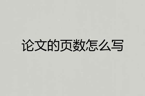 论文的页数怎么写