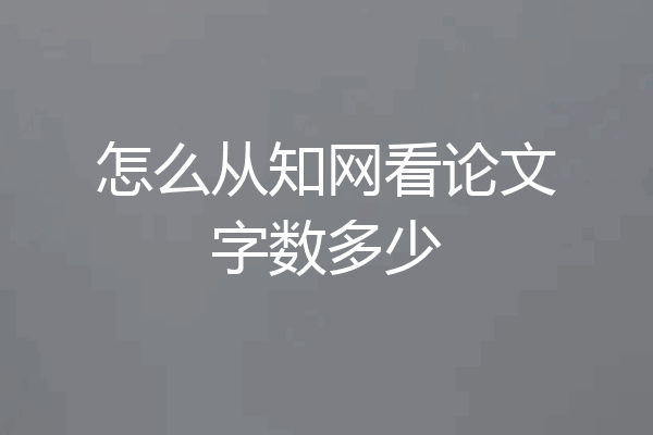 怎么从知网看论文字数多少