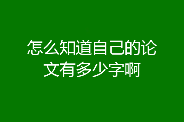 怎么知道自己的论文有多少字啊