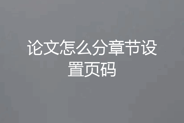 论文怎么分章节设置页码