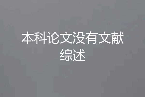 本科论文没有文献综述