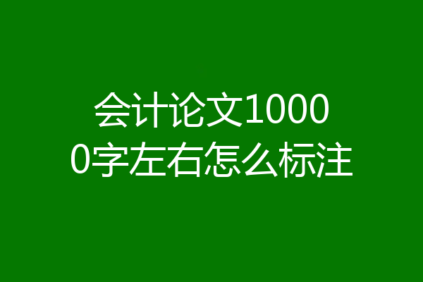 会计论文10000字左右怎么标注