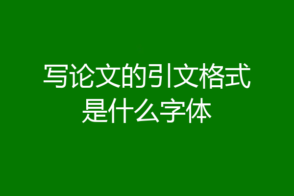 写论文的引文格式是什么字体
