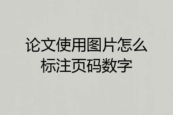 论文使用图片怎么标注页码数字