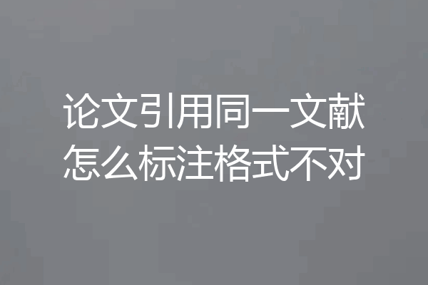 论文引用同一文献怎么标注格式不对