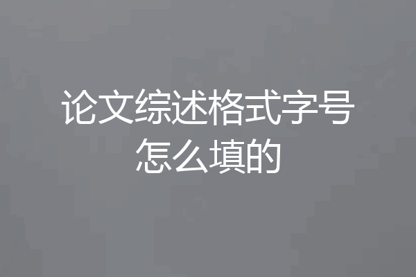 论文综述格式字号怎么填的