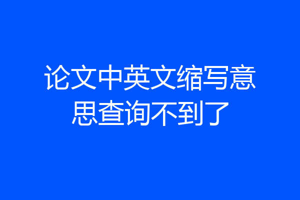 论文中英文缩写意思查询不到了