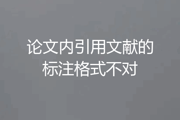 论文内引用文献的标注格式不对