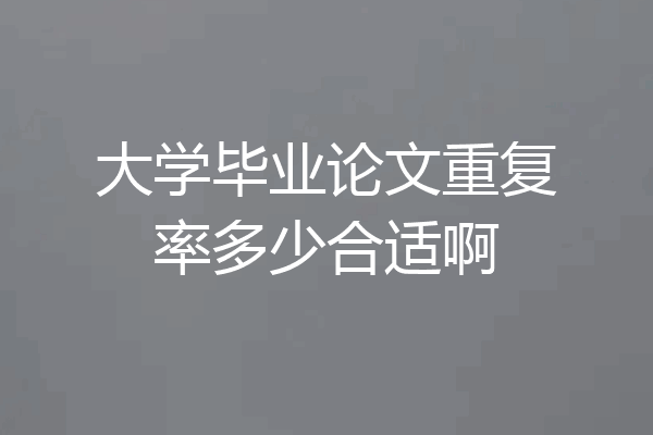 大学毕业论文重复率多少合适啊