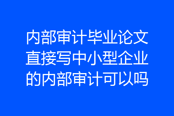 内部审计毕业论文直接写中小型企业的内部审计可以吗