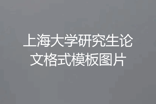 上海大学研究生论文格式模板图片
