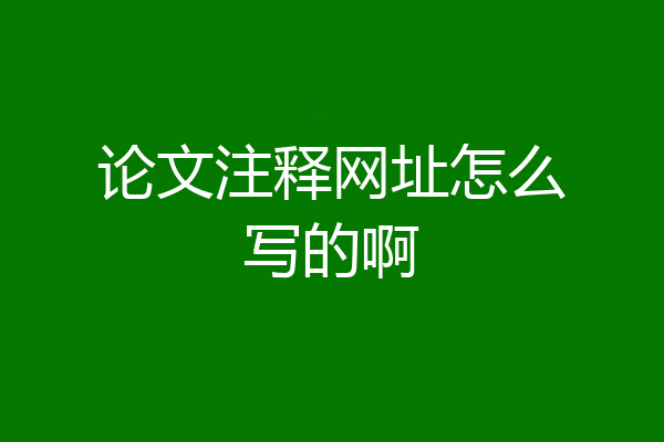 论文注释网址怎么写的啊