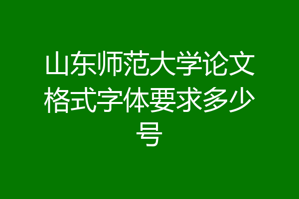 山东师范大学论文格式字体要求多少号