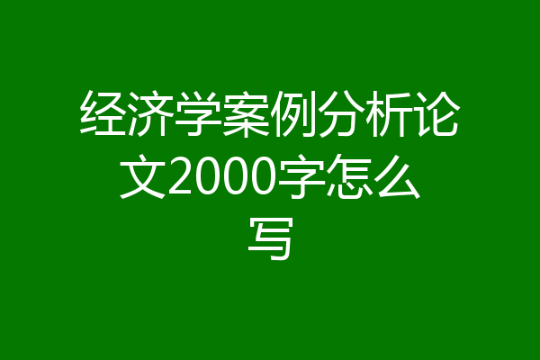 经济学案例分析论文2000字怎么写